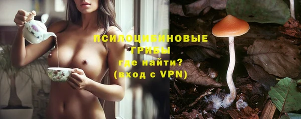 ГАЛЛЮЦИНОГЕННЫЕ ГРИБЫ Михайловка