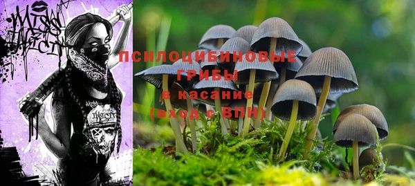 не бодяженный Наволоки