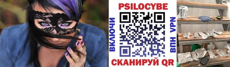 Псилоцибиновые грибы Psilocybe  Межгорье 